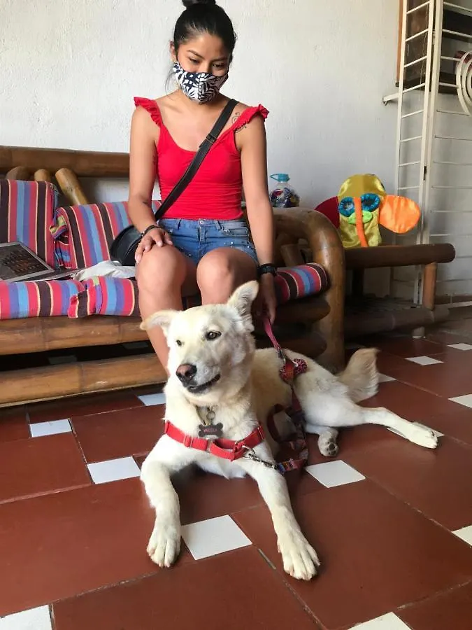 Aluna Hostel B&B Santa Marta  0*, Santa Marta (Magdalena) Colombia