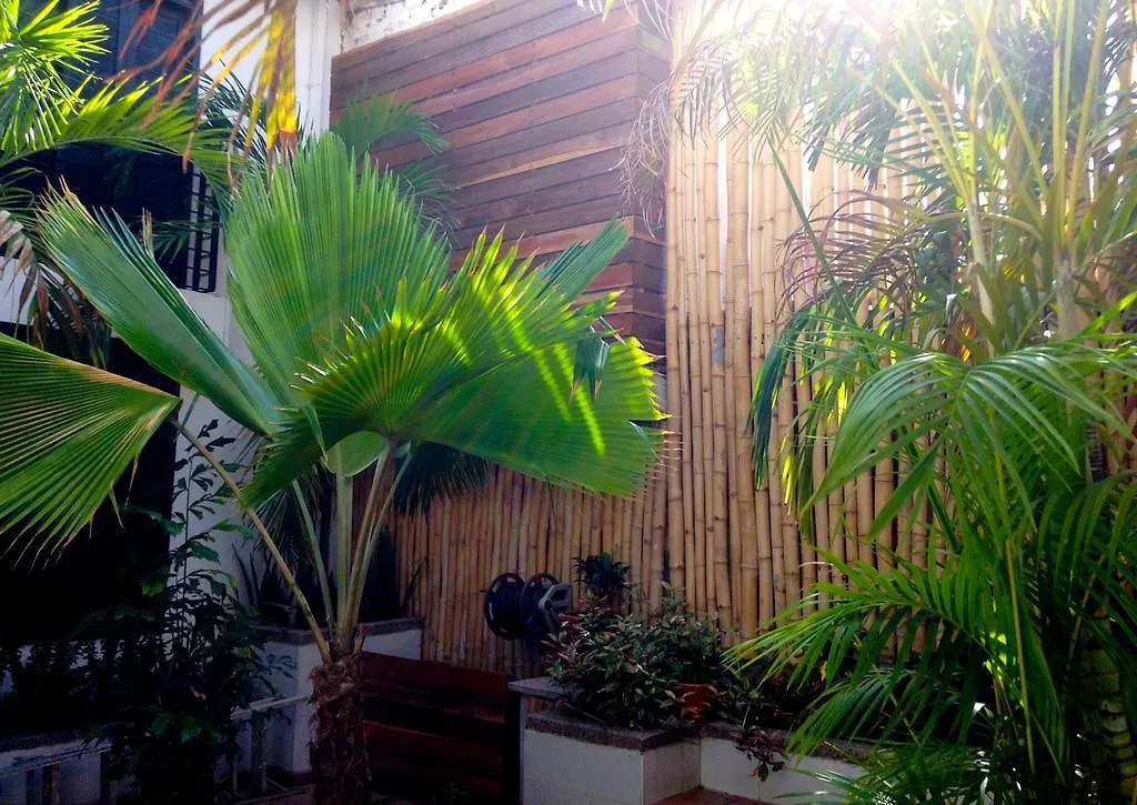 Aluna Hostel B&B Santa Marta