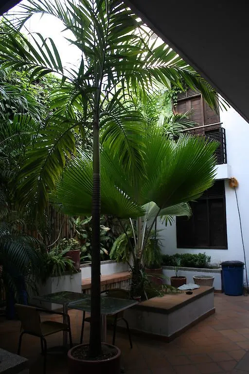 Aluna Hostel B&B Santa Marta  Colombia
