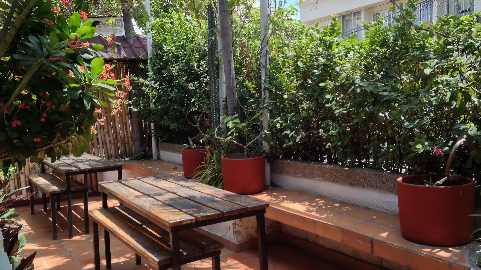 Aluna Hostel B&B Santa Marta  Colombia