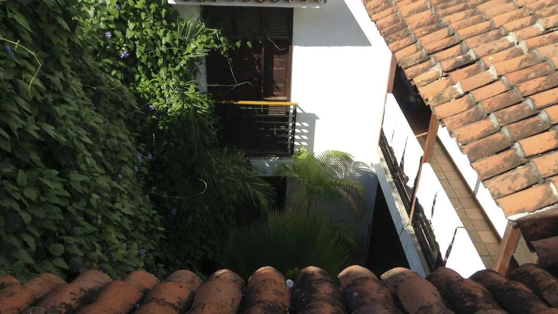 Aluna Hostel B&B Santa Marta